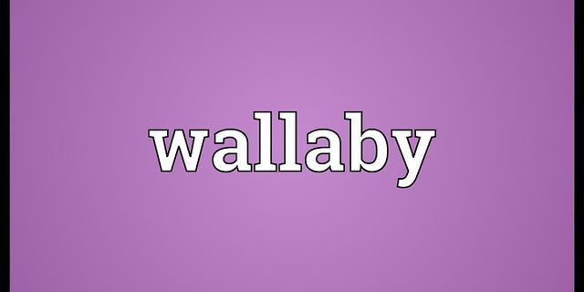 wallabies là gì - Nghĩa của từ wallabies