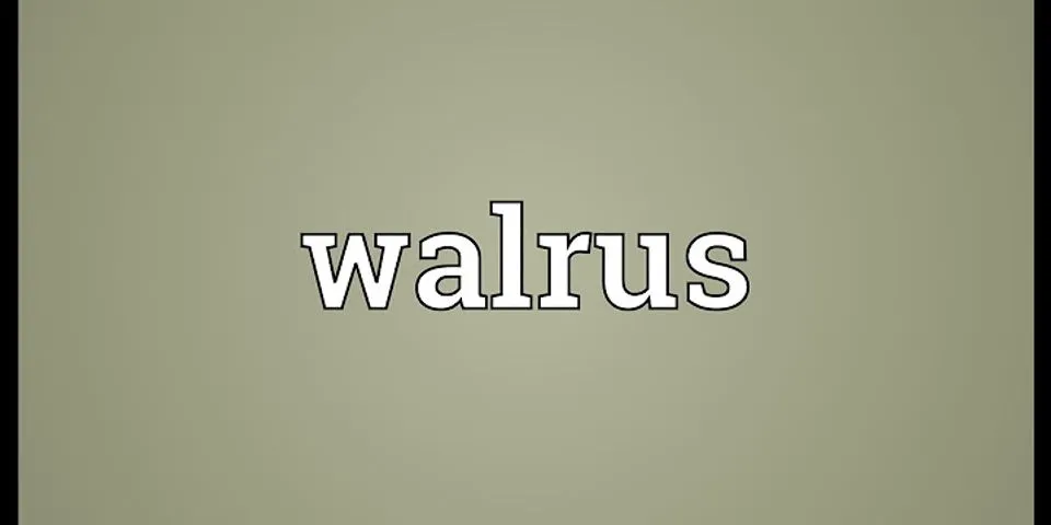 walrusguy là gì - Nghĩa của từ walrusguy