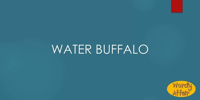 water buffalo là gì - Nghĩa của từ water buffalo