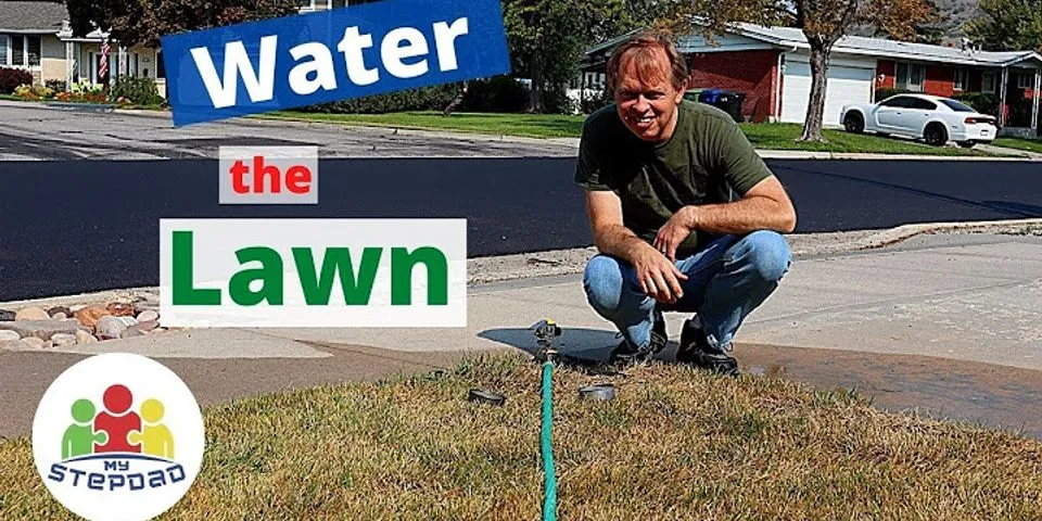 water the lawn là gì - Nghĩa của từ water the lawn