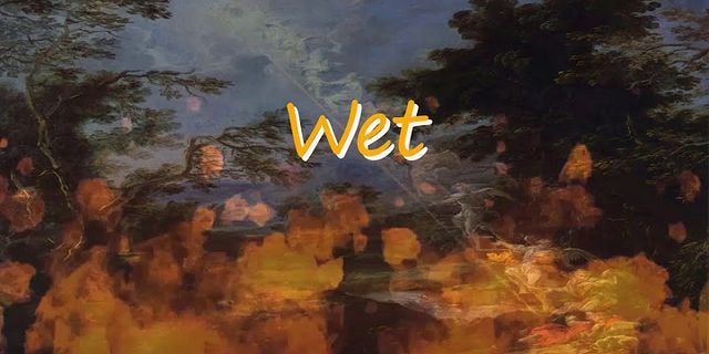 wet dream là gì - Nghĩa của từ wet dream