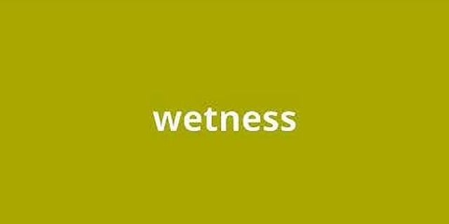 wetness là gì - Nghĩa của từ wetness