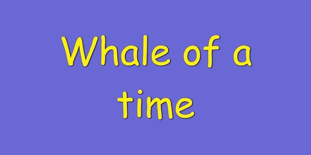 whale of a time là gì - Nghĩa của từ whale of a time