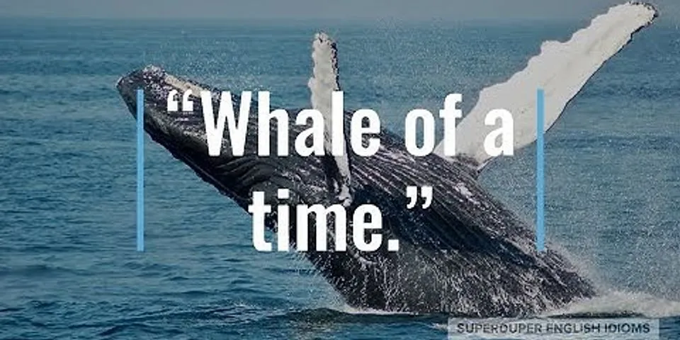 whale on là gì - Nghĩa của từ whale on