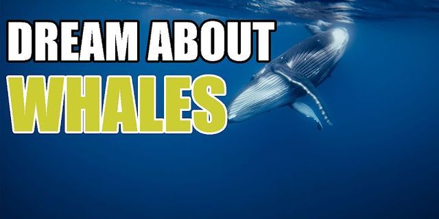 whales là gì - Nghĩa của từ whales