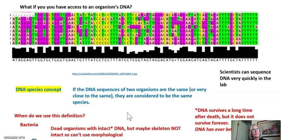 what-are-the-4-types-of-species-concepts