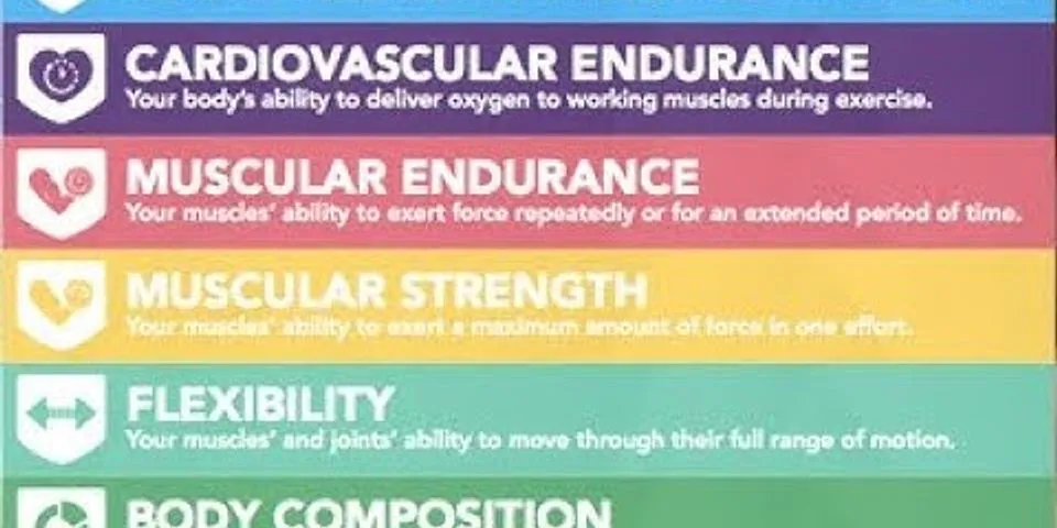 What are the 5 health related components of fitness and why are they important?