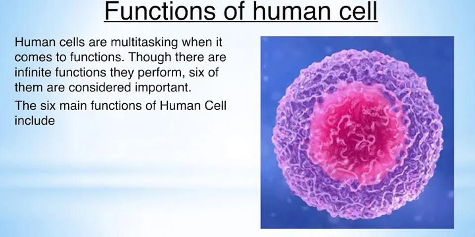 what-are-the-different-cell-organelles-and-their-functions-organelles