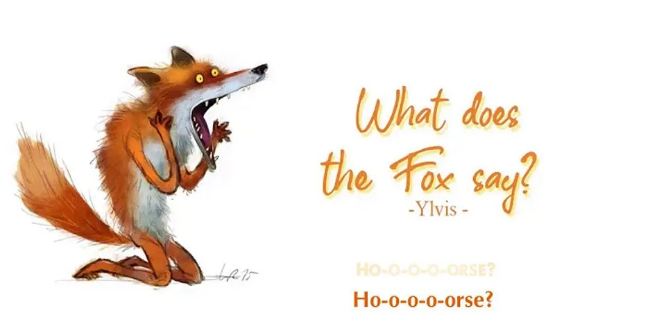 what does the fox say là gì - Nghĩa của từ what does the fox say