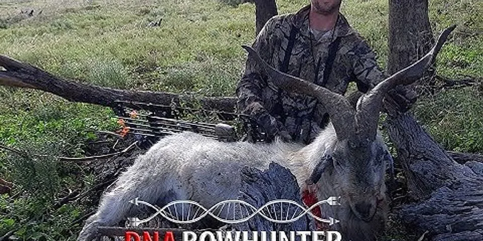 What is one of the main benefits of bowhunting Bowhunter Ed?