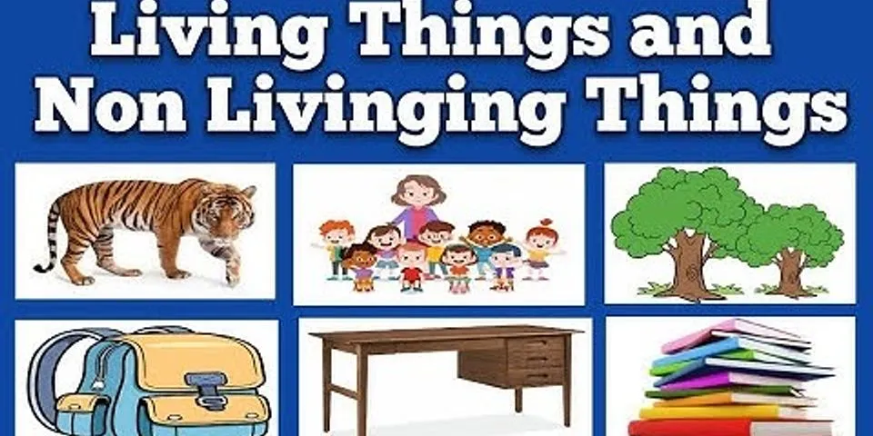 What is the difference between non-living things and living things?