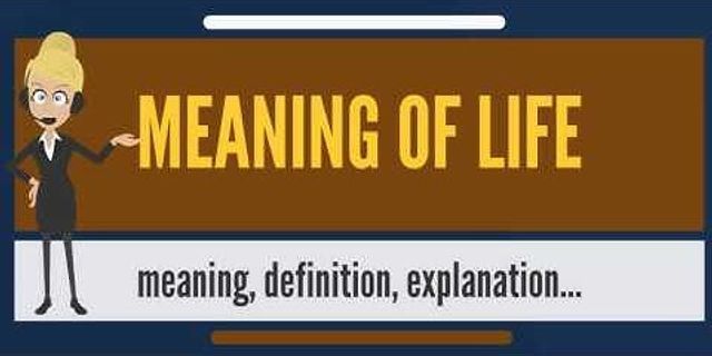 what is the meaning of life là gì - Nghĩa của từ what is the meaning of life