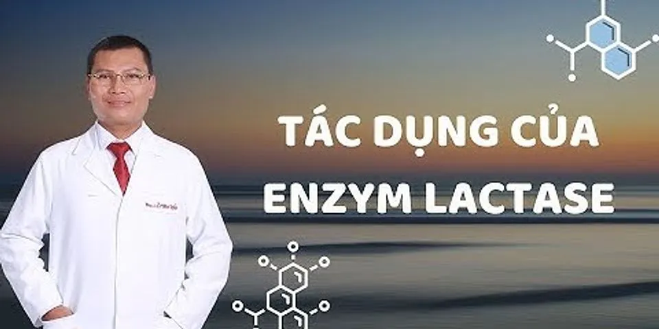 What is the role of enzymes in Lactaid?