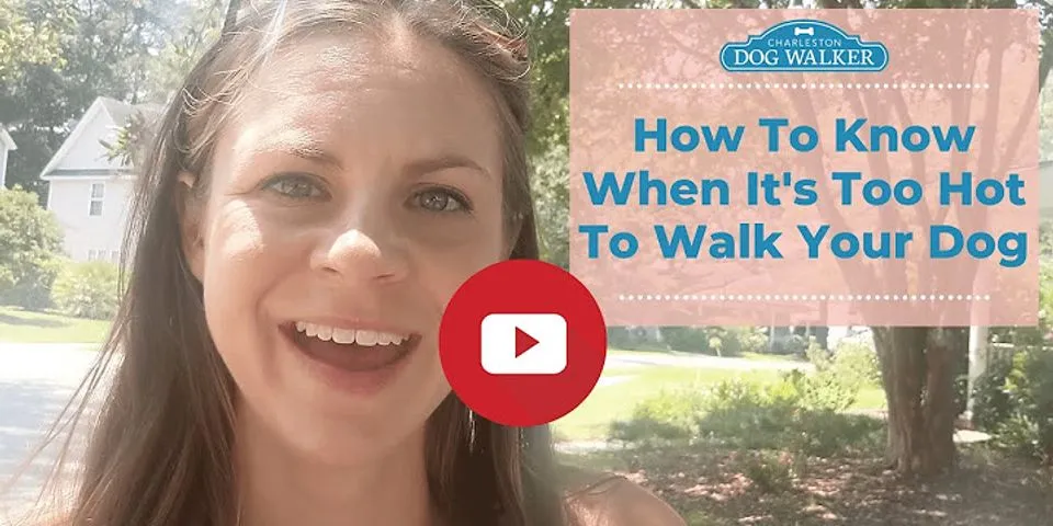 What temperature is too hot to walk dogs