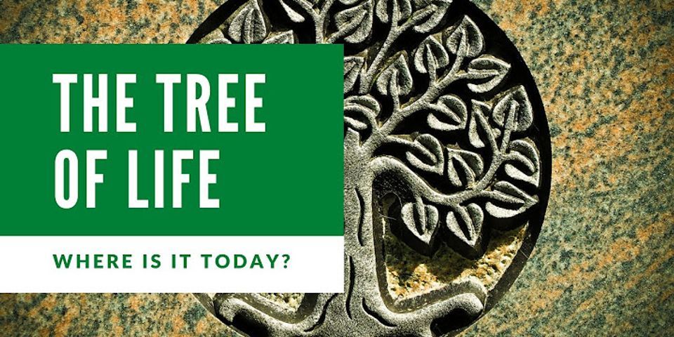 What type of tree is tree of life?
