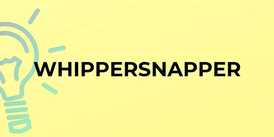 whippersnapper là gì - Nghĩa của từ whippersnapper
