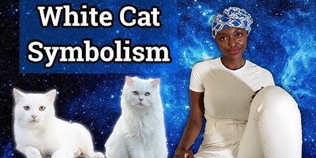 white cat là gì - Nghĩa của từ white cat