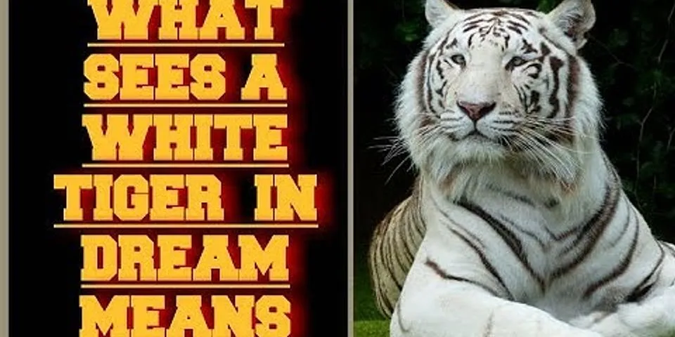 white tigers là gì - Nghĩa của từ white tigers