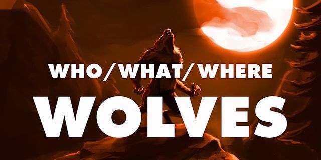 whywolf là gì - Nghĩa của từ whywolf