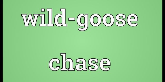 wild goose là gì - Nghĩa của từ wild goose