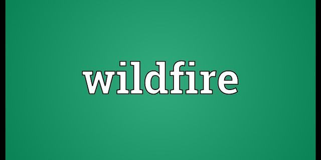 wildfires là gì - Nghĩa của từ wildfires