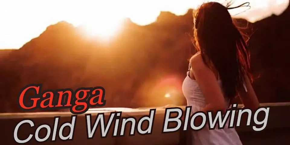 wind blowing là gì - Nghĩa của từ wind blowing