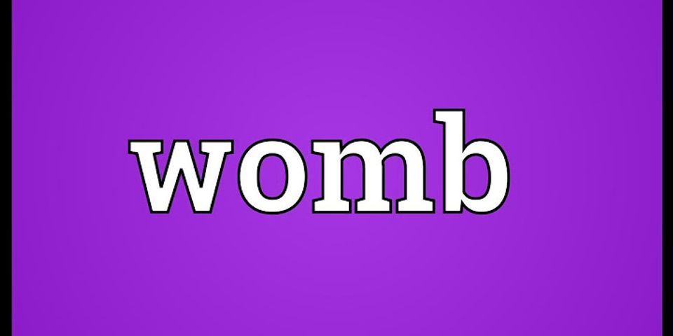 womb là gì - Nghĩa của từ womb