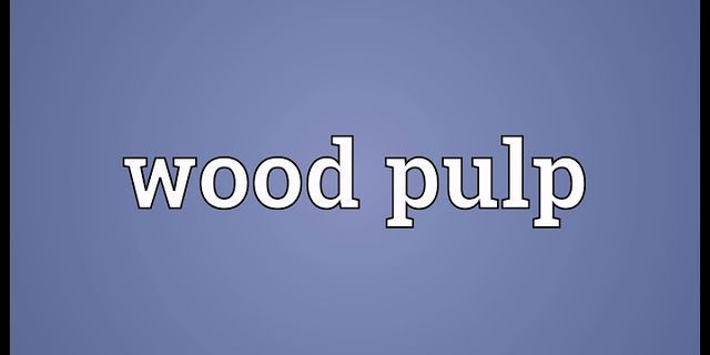 wood pulp là gì - Nghĩa của từ wood pulp