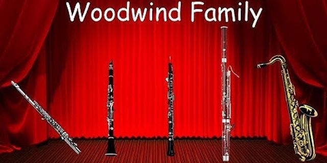 woodwind section là gì - Nghĩa của từ woodwind section