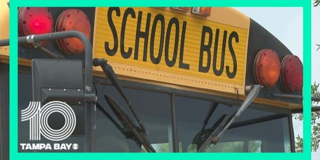 yellow school bus là gì - Nghĩa của từ yellow school bus