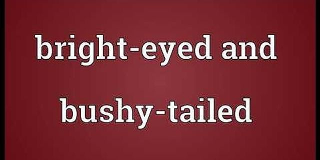 your bright-eyed and bushy tailed là gì - Nghĩa của từ your bright-eyed and bushy tailed