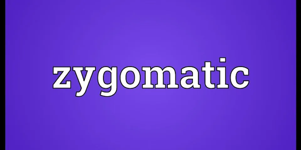 zygomaticus là gì - Nghĩa của từ zygomaticus